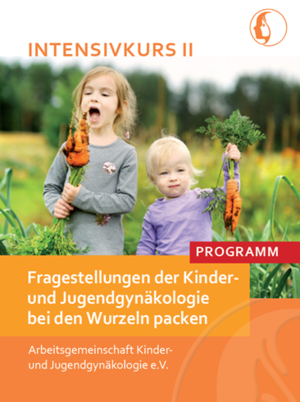 IK_II_2024_Banner_Programm.png